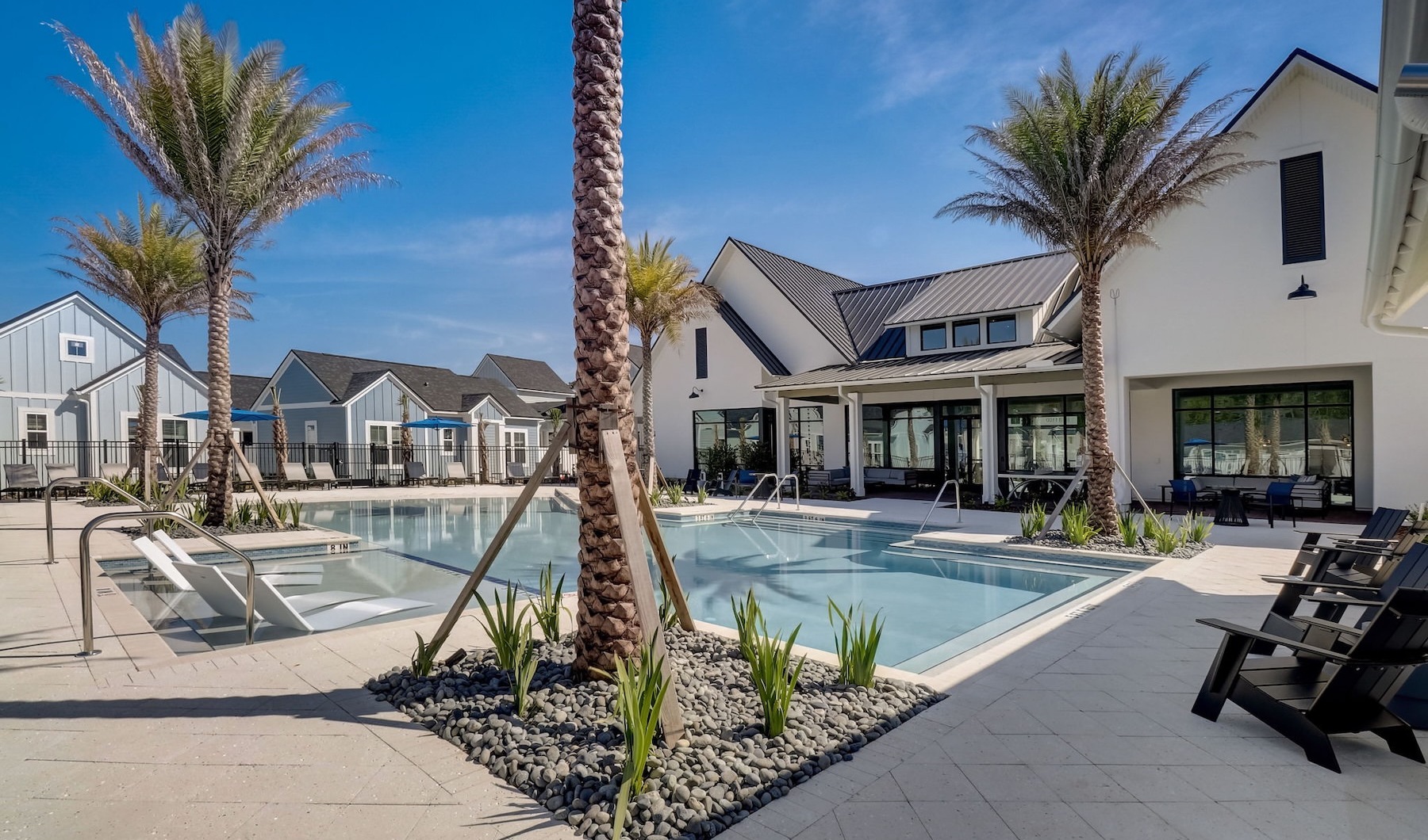 a courtyard with palm trees and a swimming pool